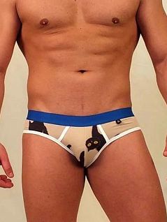 Трусы мужские слипы бежевые с синей резинкой Van Baam RT38189